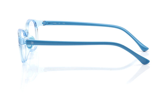Blue Round Rimmed Eyeglasses for Kids