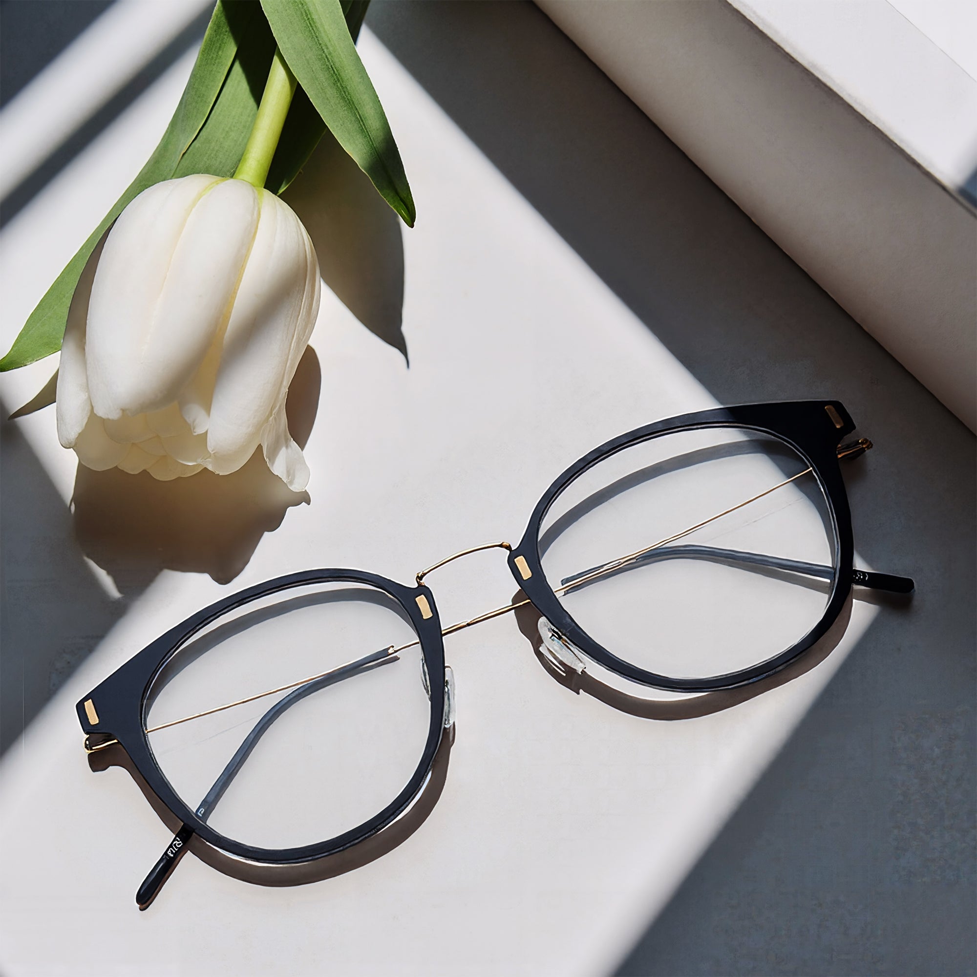 Lille - Black Rimmed Eyeglasses
