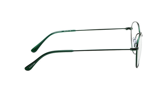 Green Round Rimmed Eyeglasses