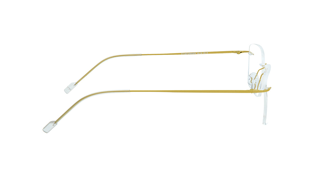 Brown Rimless Unisex Eyeglasses (FT1387URM2BRV|53)