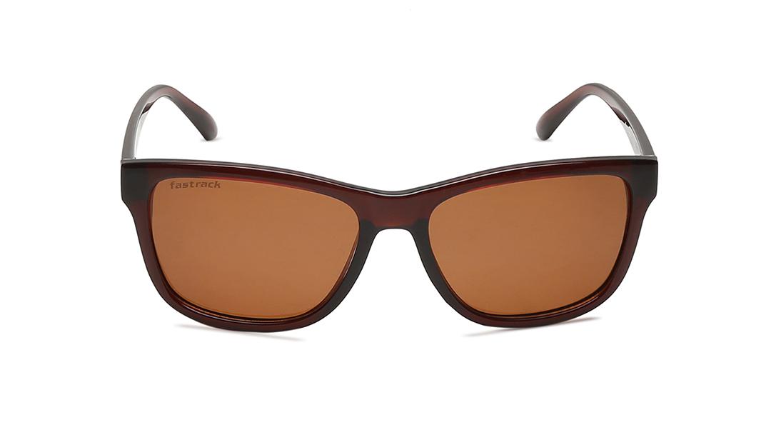 Brown Wayfarer Men Sunglasses (P357BR6P|55)