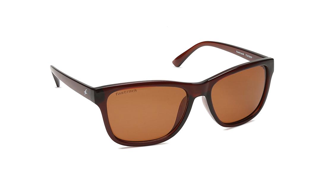 Brown Wayfarer Men Sunglasses (P357BR6P|55)
