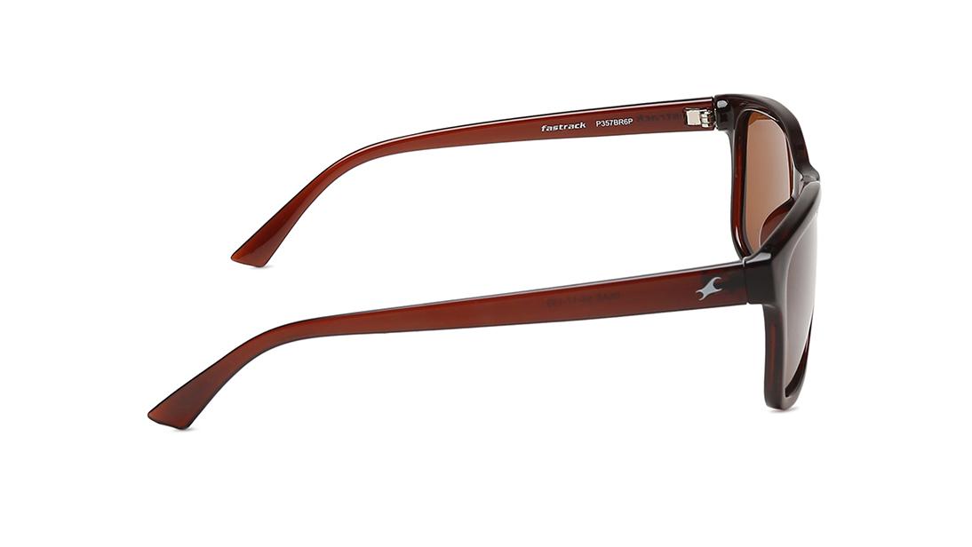 Brown Wayfarer Men Sunglasses (P357BR6P|55)