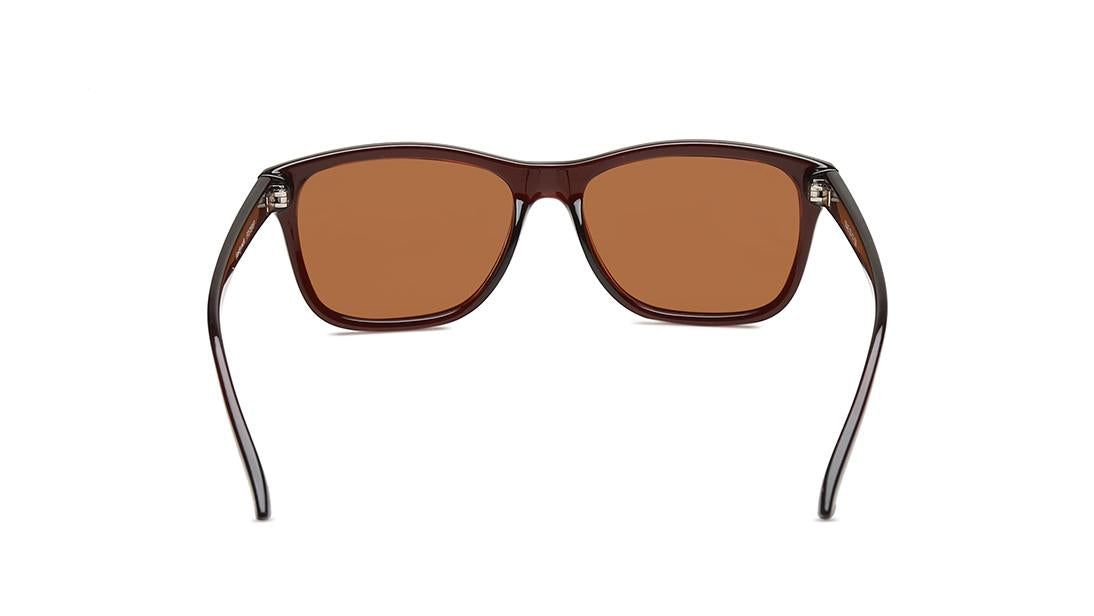 Brown Wayfarer Men Sunglasses (P357BR6P|55)