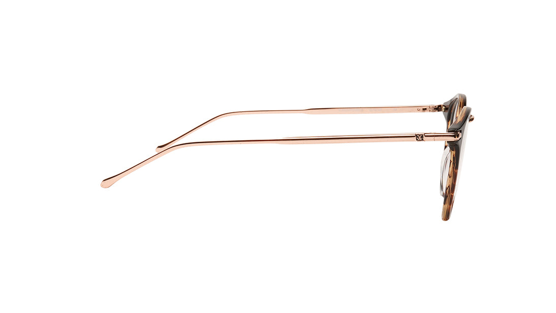 Brown Round Women Eyeglasses (TC1062WFP2MBRV|50)
