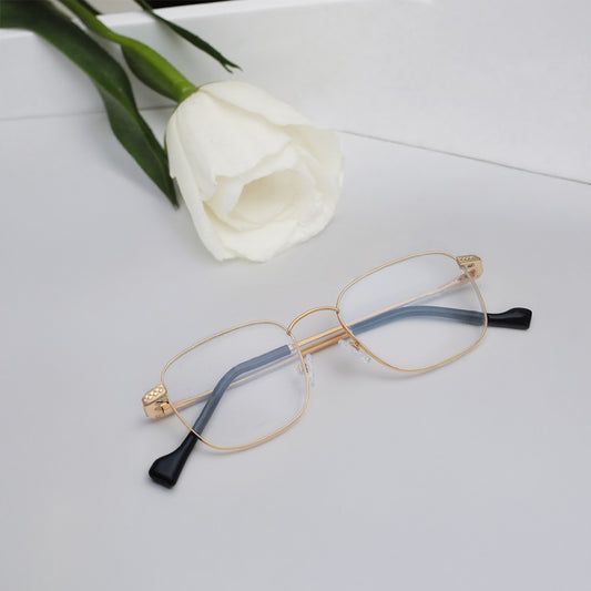 Black Rimmed Men Eyeglasses (TC1081UFM2MGLV|54)