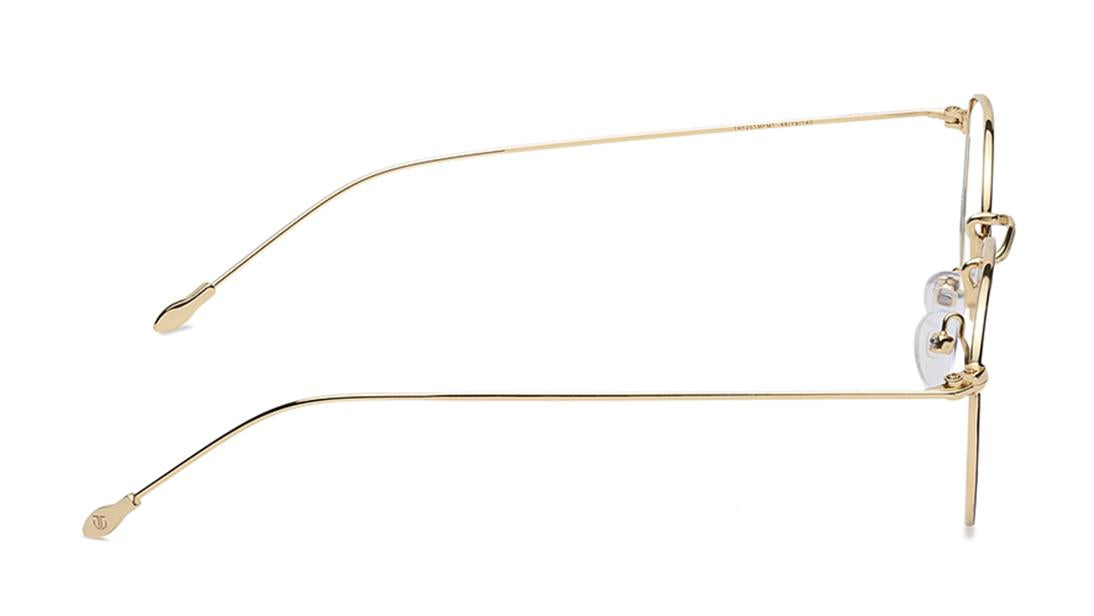 Brown/Gold Wayfarer Rimmed Eyeglasses (TR1251MFM1|54)