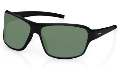 Black Wayfarer Men Sunglasses (P222GR3P|62)