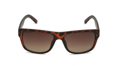 Brown Square Men Sunglasses (P300BR2|56)