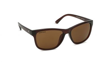 Black Wayfarer Men Sunglasses (P357BR3|41)