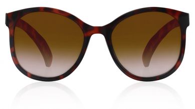 Brown Oval Women Sunglasses (P381BR1F|60)
