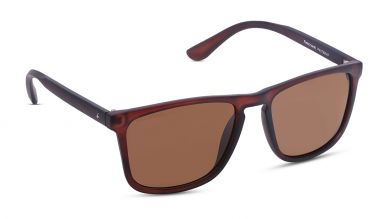 Brown Wayfarer Men Sunglasses (P407BR4P|58)