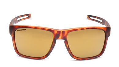 Brown Wayfarer Men Sunglasses (P415BR3|56)