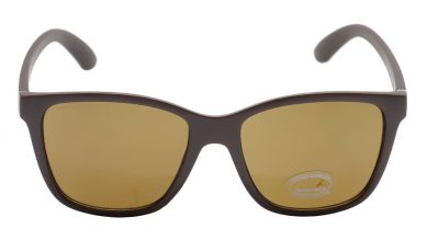 Brown Wayfarer Men Sunglasses (P428BR2|56)