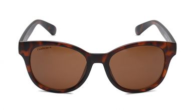 Brown Round Men Sunglasses (P446BR2|54)